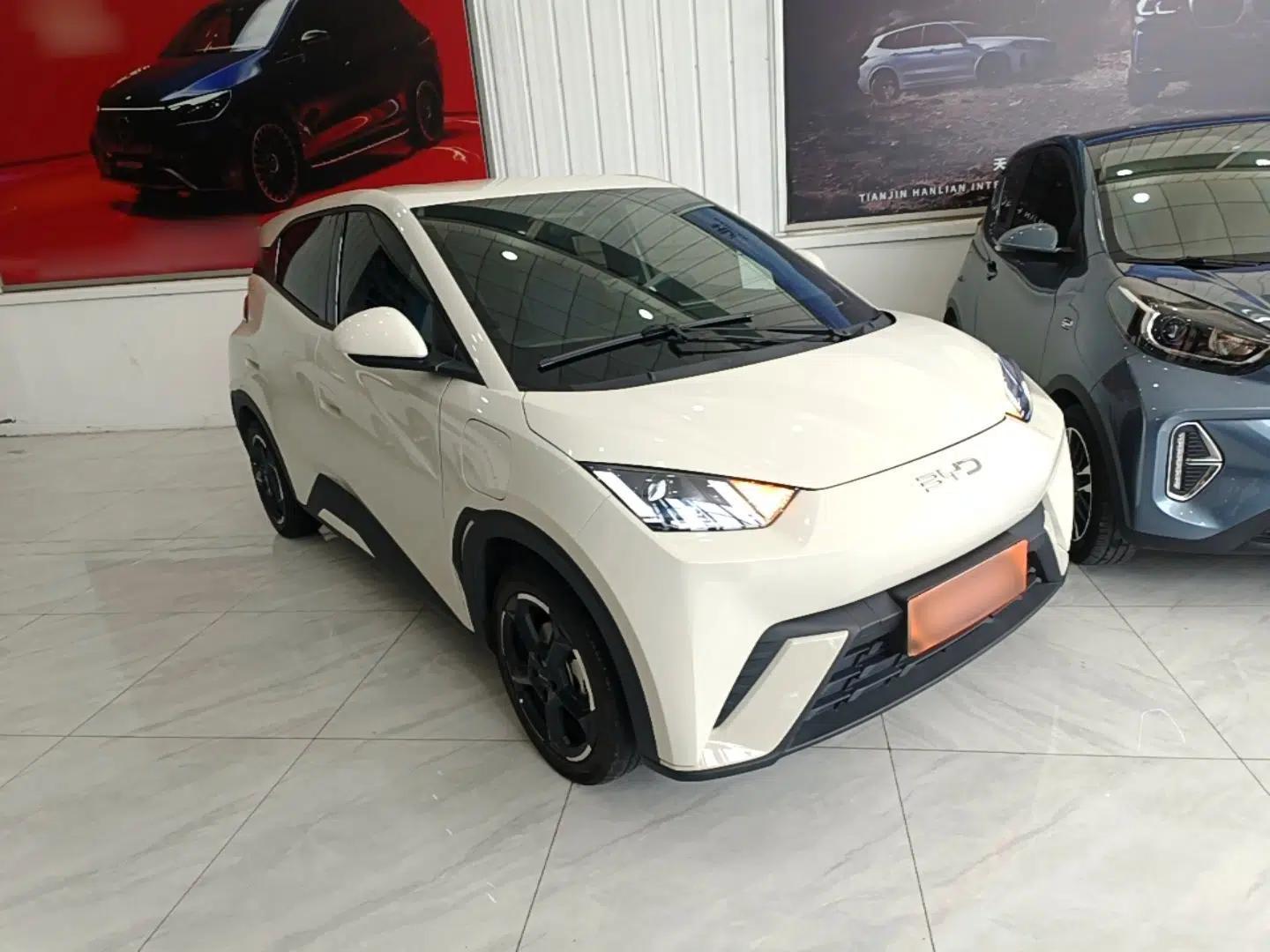 BYD Seagull 2024 Honor Edition 405km Flying Version — миниатюра 3