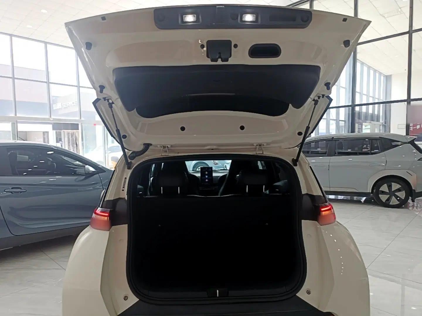 BYD Seagull 2024 Honor Edition 405km Flying Version — миниатюра 22