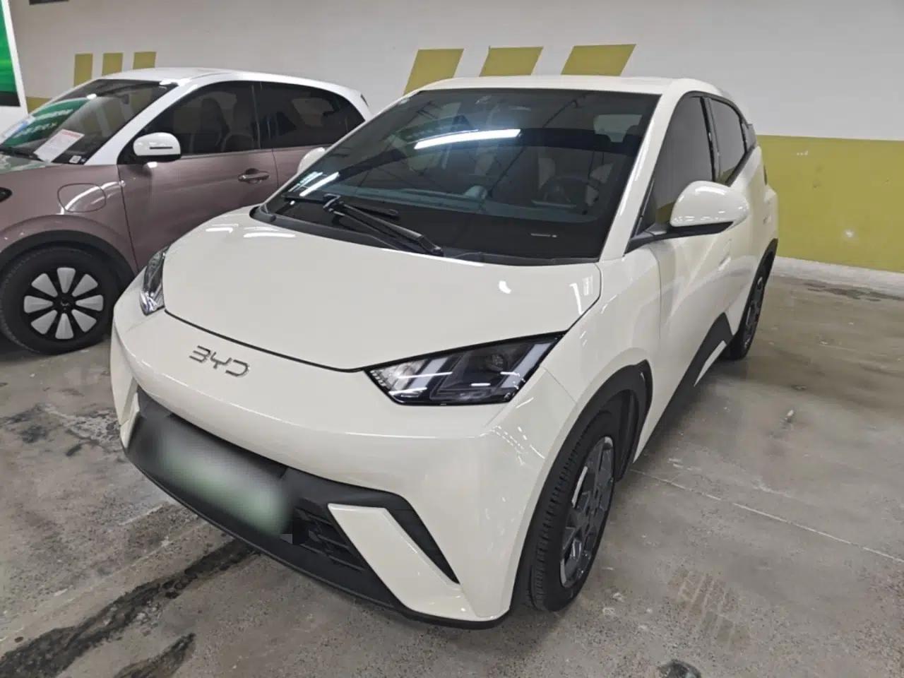 BYD Seagull 2024 Honor Edition 305km Freedom Version — миниатюра 1