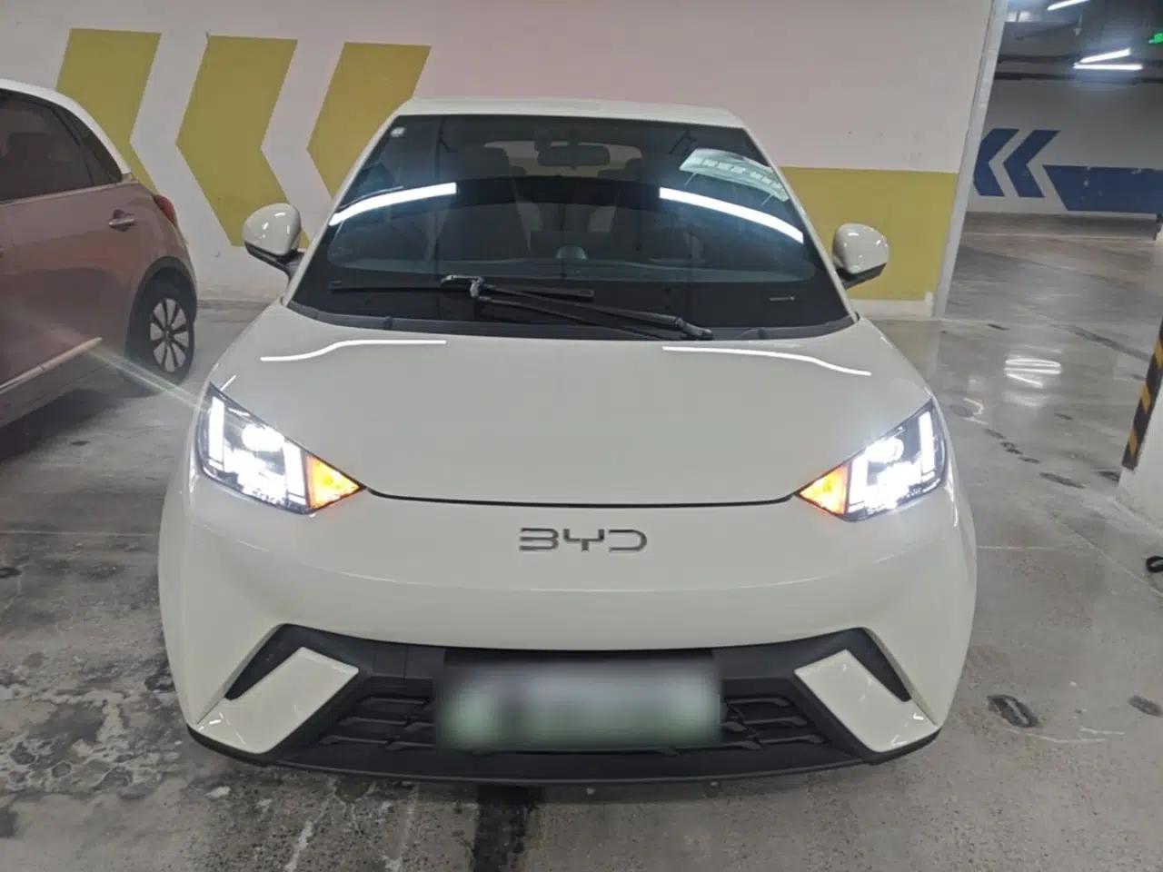 BYD Seagull 2024 Honor Edition 305km Freedom Version — миниатюра 2