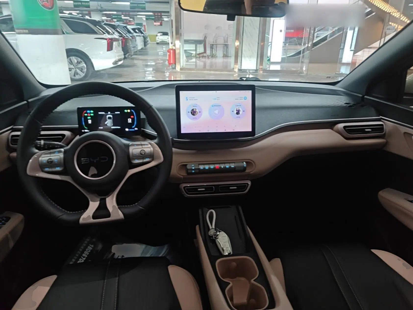 BYD Seagull 2024 Honor Edition 305km Freedom Version — миниатюра 17