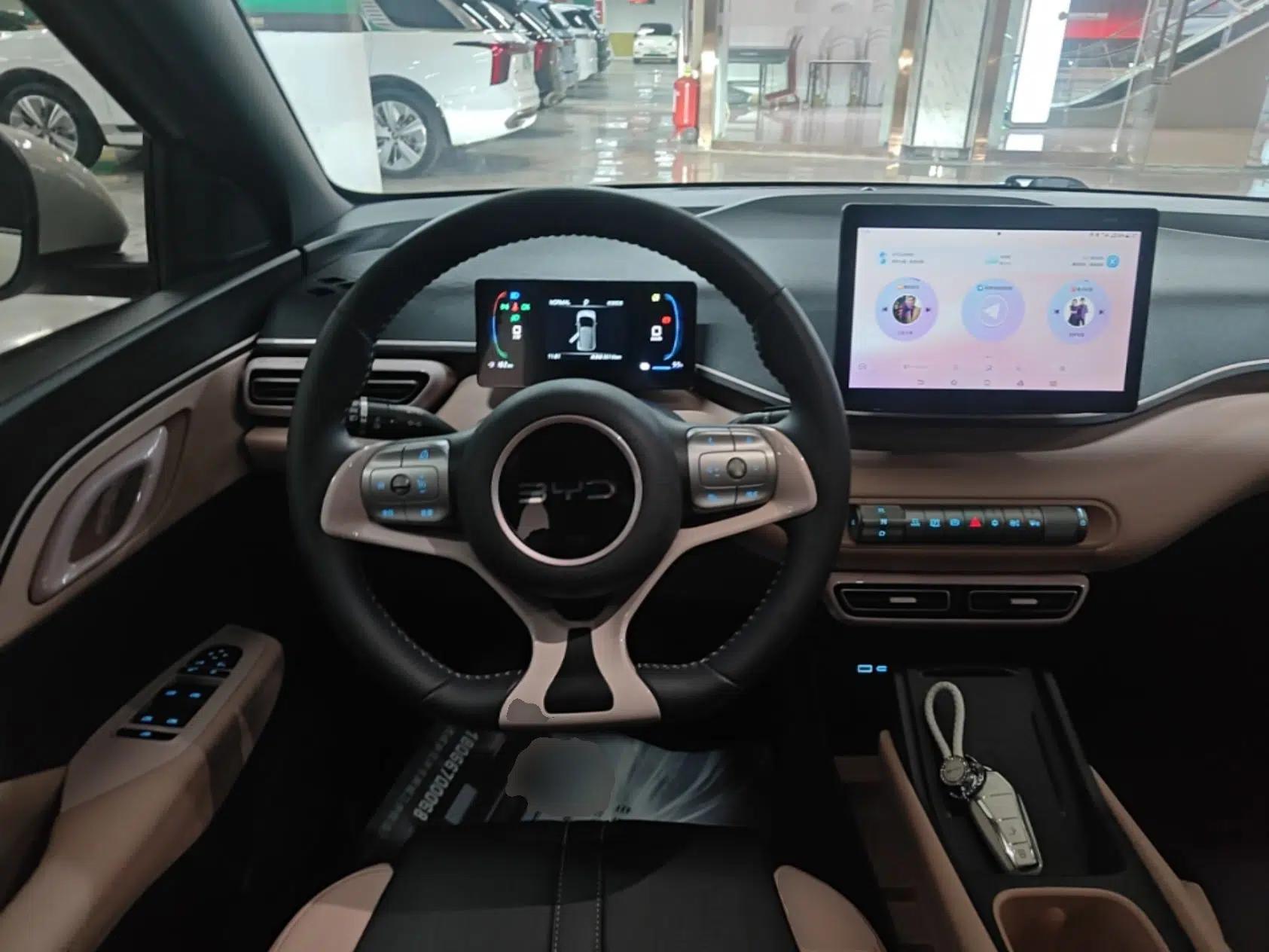 BYD Seagull 2024 Honor Edition 305km Freedom Version — миниатюра 18