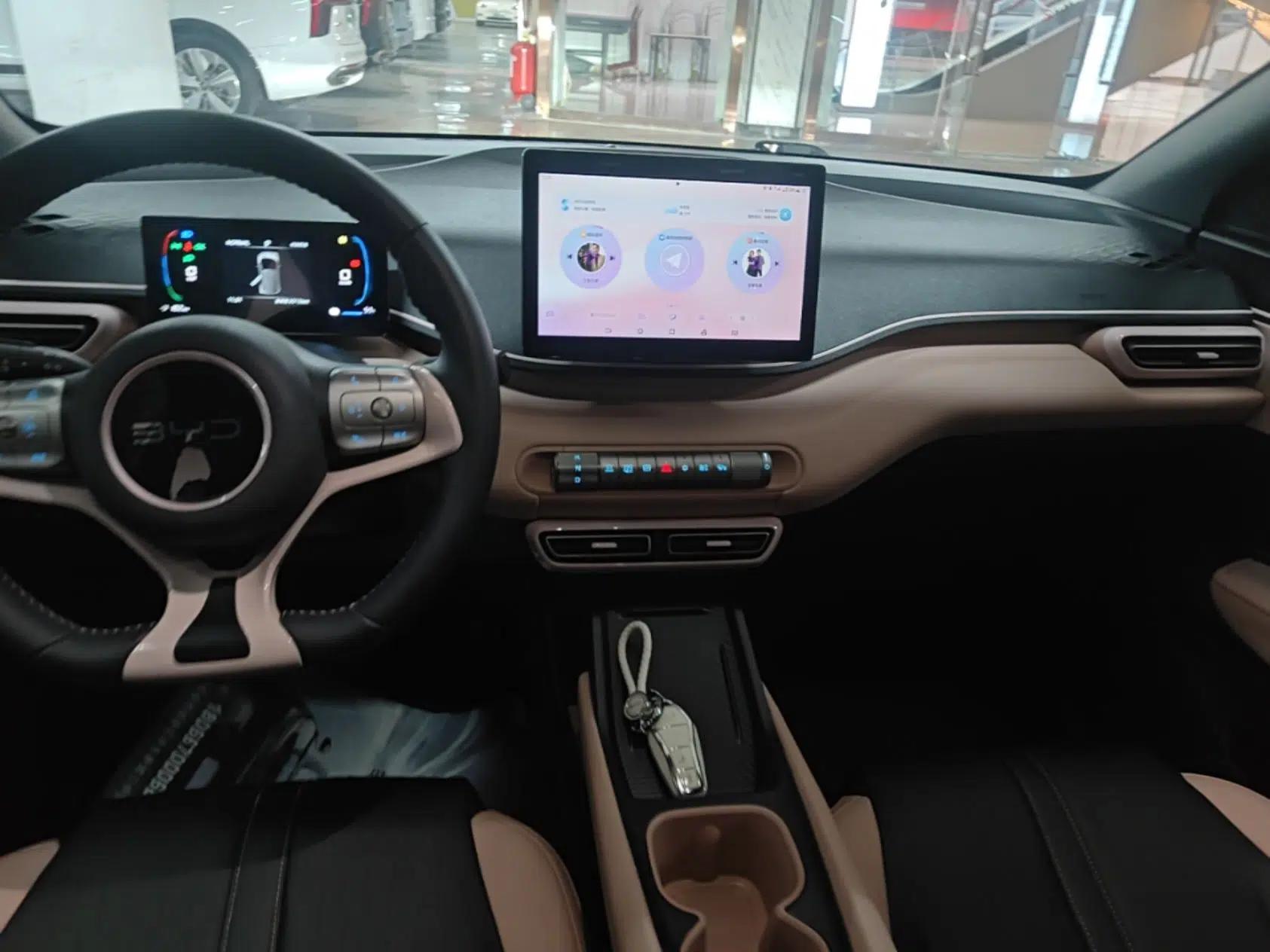 BYD Seagull 2024 Honor Edition 305km Freedom Version — миниатюра 20