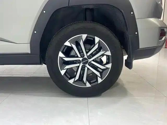 Haval Big Dog PLUS 2023 2.0T 4WD Trendy Wild Plus — миниатюра 17