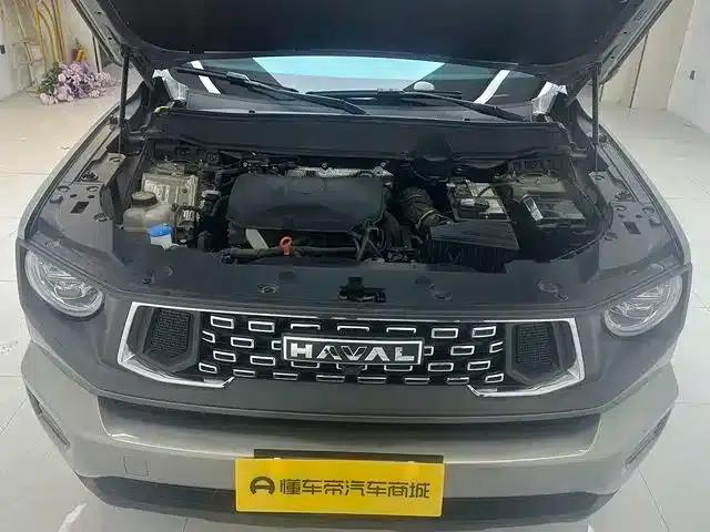Haval Big Dog PLUS 2023 2.0T 4WD Trendy Wild Plus — миниатюра 19