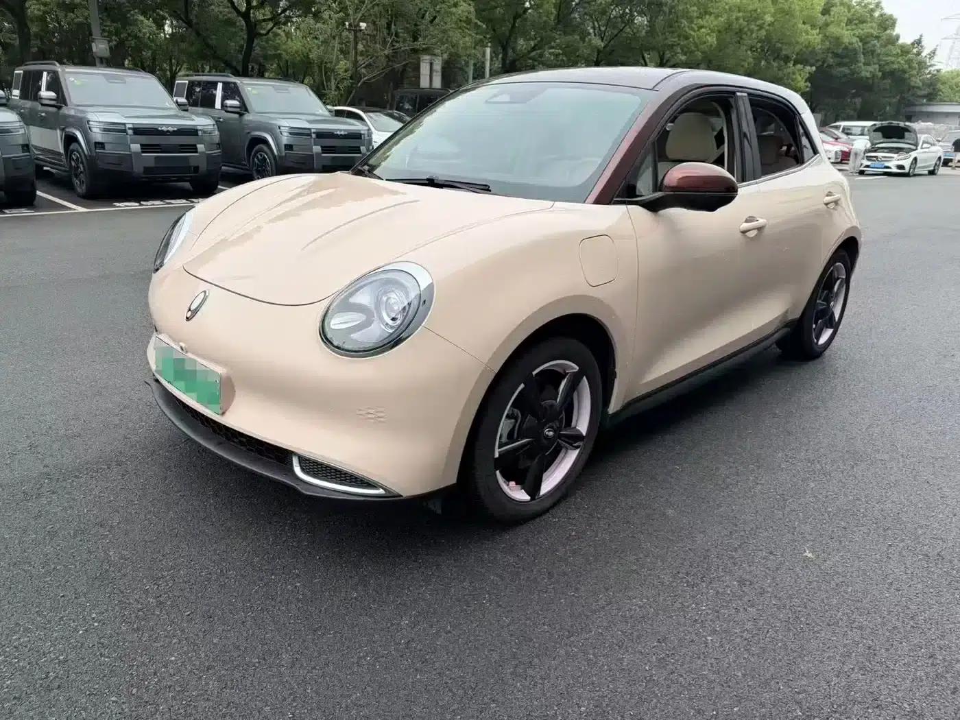 ORA Good Cat 2023 Model, 401km Standard Range, Premium Edition, Lithium Iron Phosphate — миниатюра 1