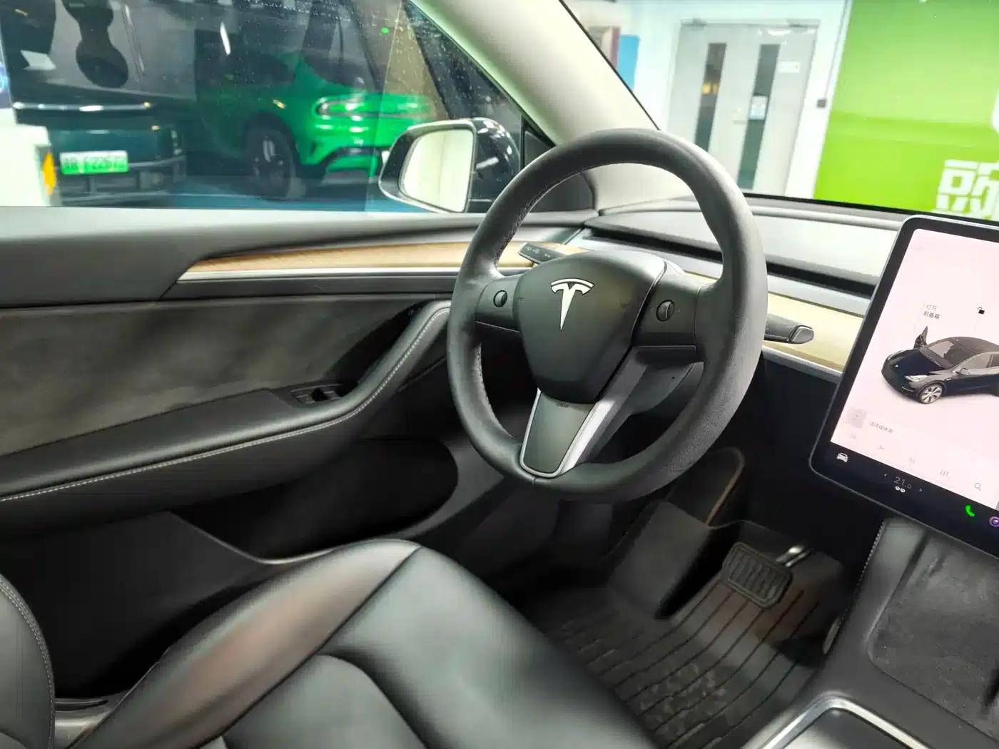 Model Y 2021 Long Range All-Wheel Drive — миниатюра 11