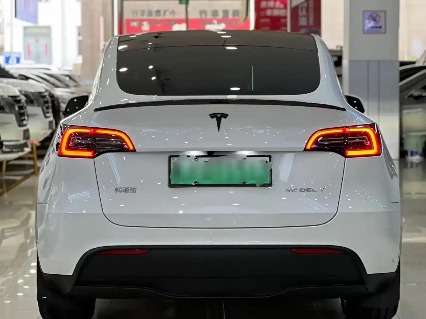 Model Y 2024 Long Range All-Wheel Drive — миниатюра 6