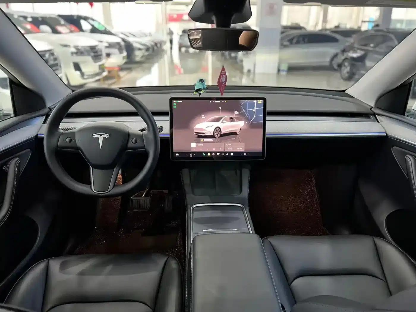 Model Y 2024 Long Range All-Wheel Drive — миниатюра 9