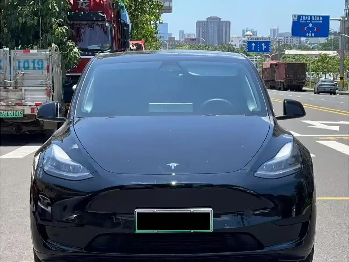 Model Y 2021 Standard Range Rear-Wheel Drive — миниатюра 2