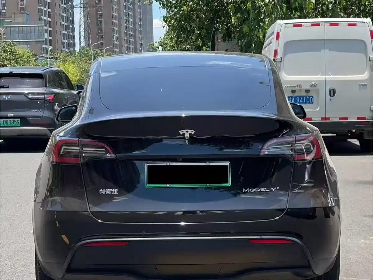 Model Y 2021 Standard Range Rear-Wheel Drive — миниатюра 8