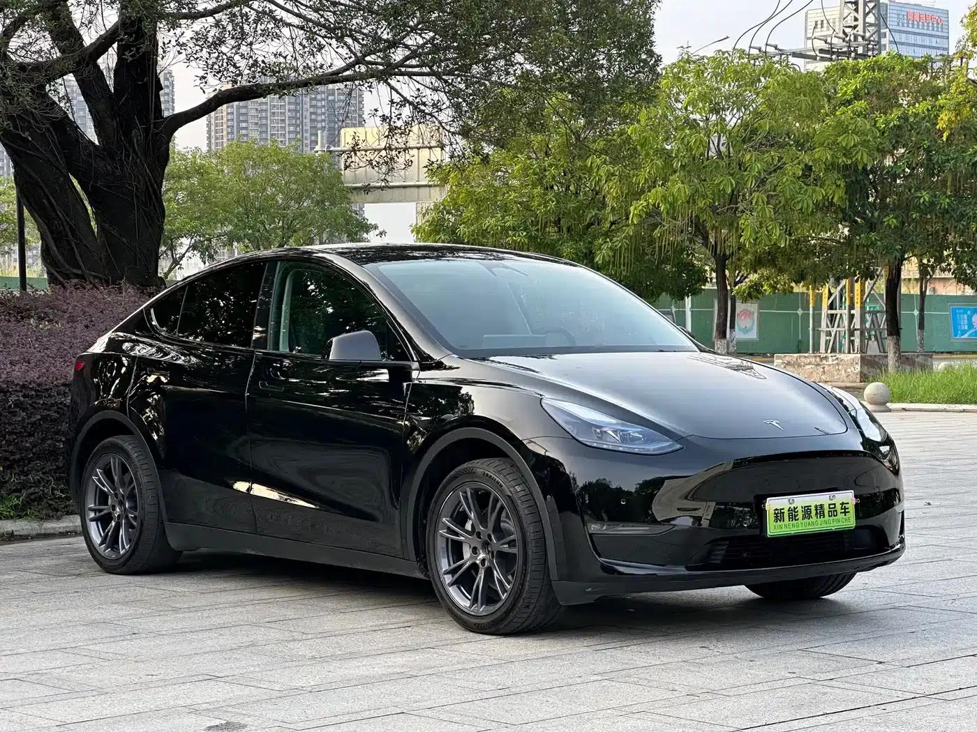 Model Y 2023 Long Range All-Wheel Drive — миниатюра 3