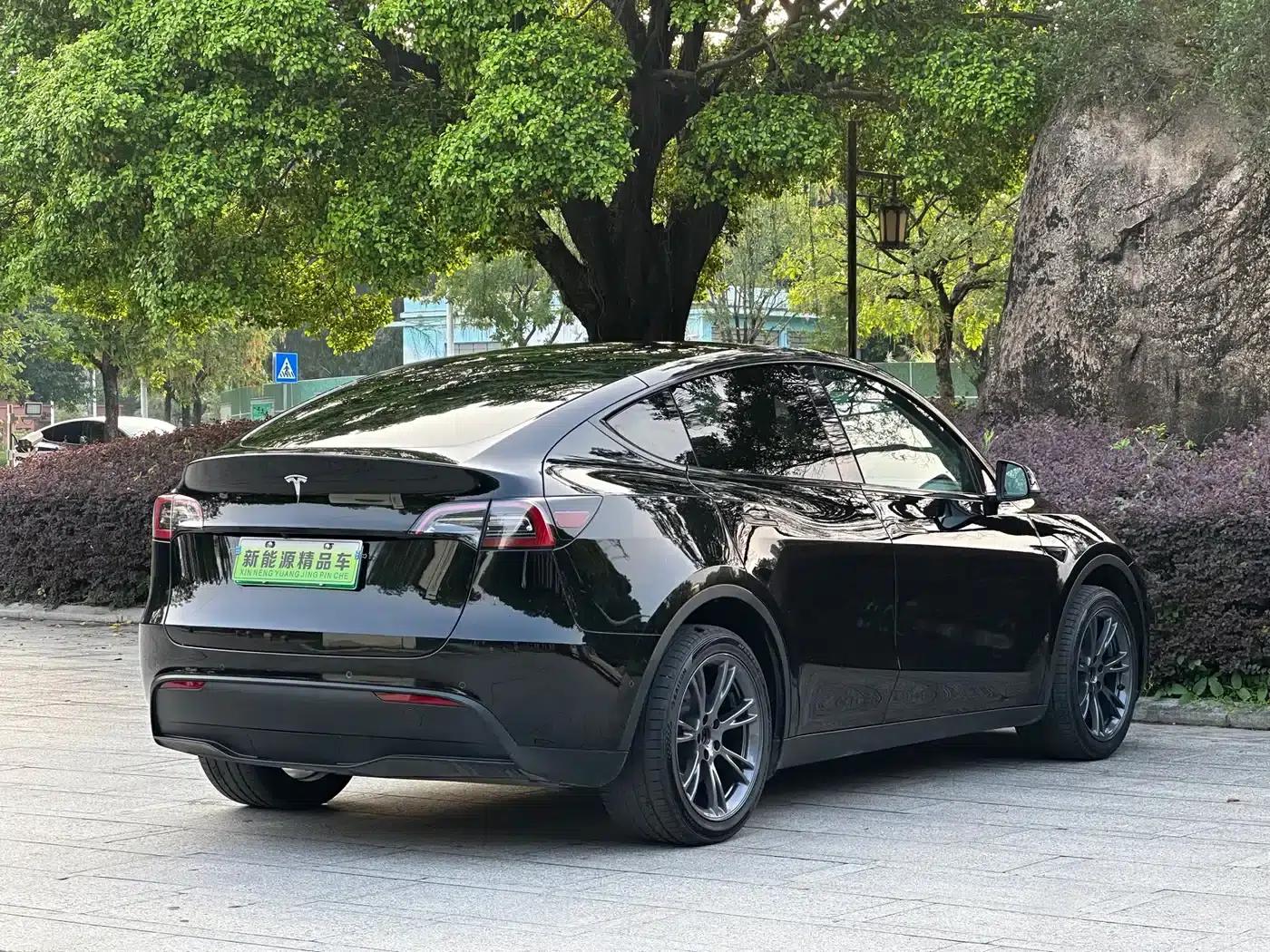 Model Y 2023 Long Range All-Wheel Drive — миниатюра 6