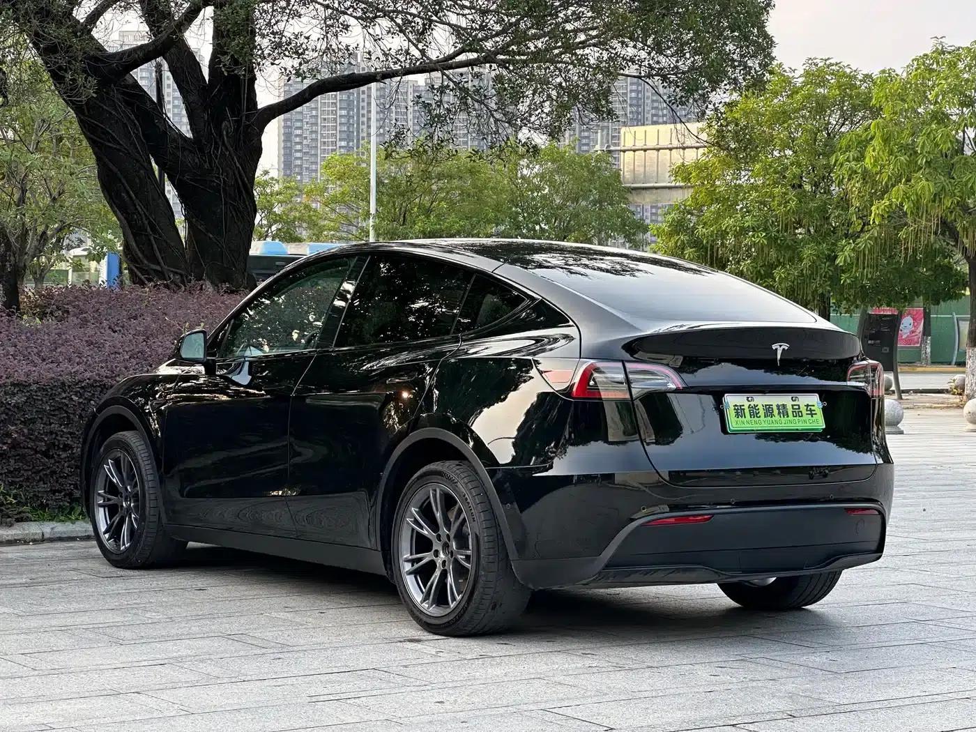 Model Y 2023 Long Range All-Wheel Drive — миниатюра 8