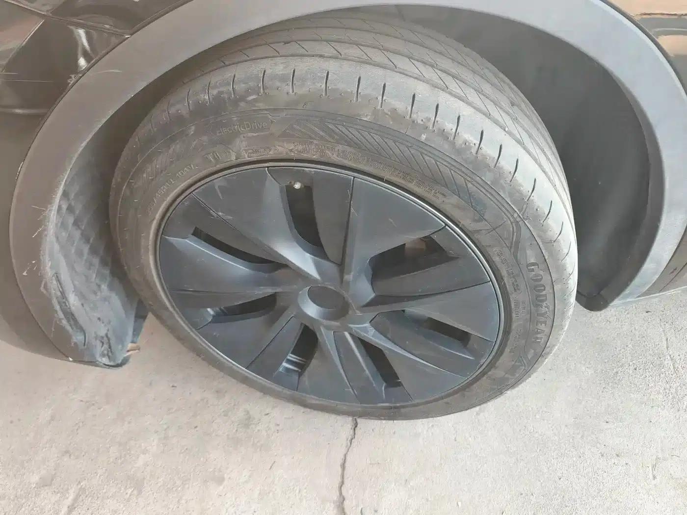 Model Y 2023 Rear-Wheel Drive — миниатюра 9