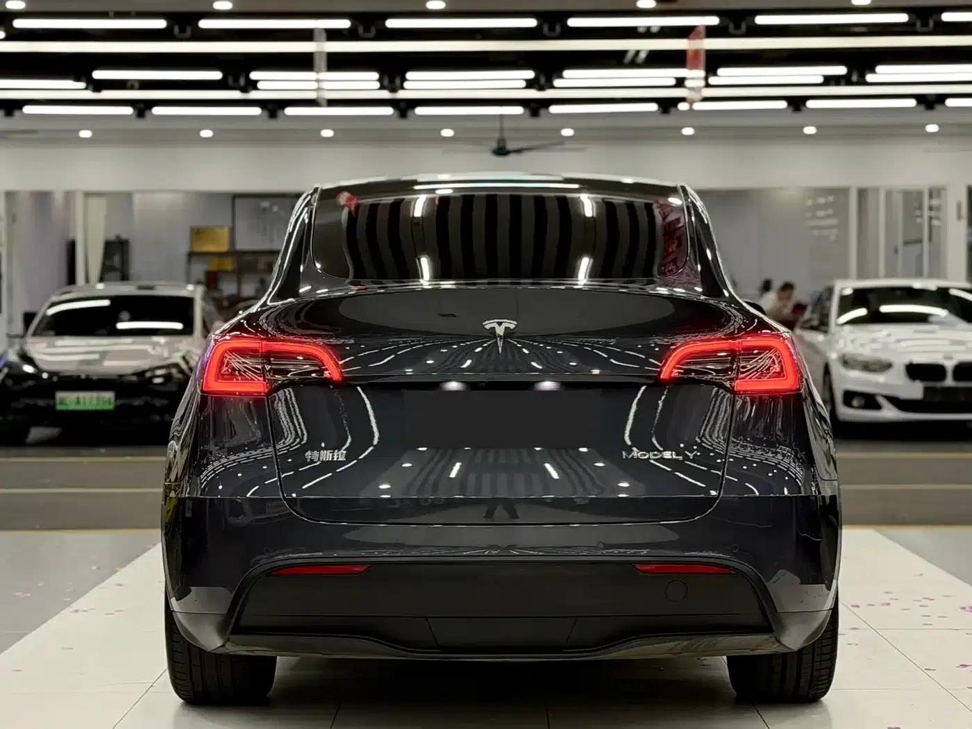 Model Y 2022 Rear-Wheel Drive — миниатюра 5