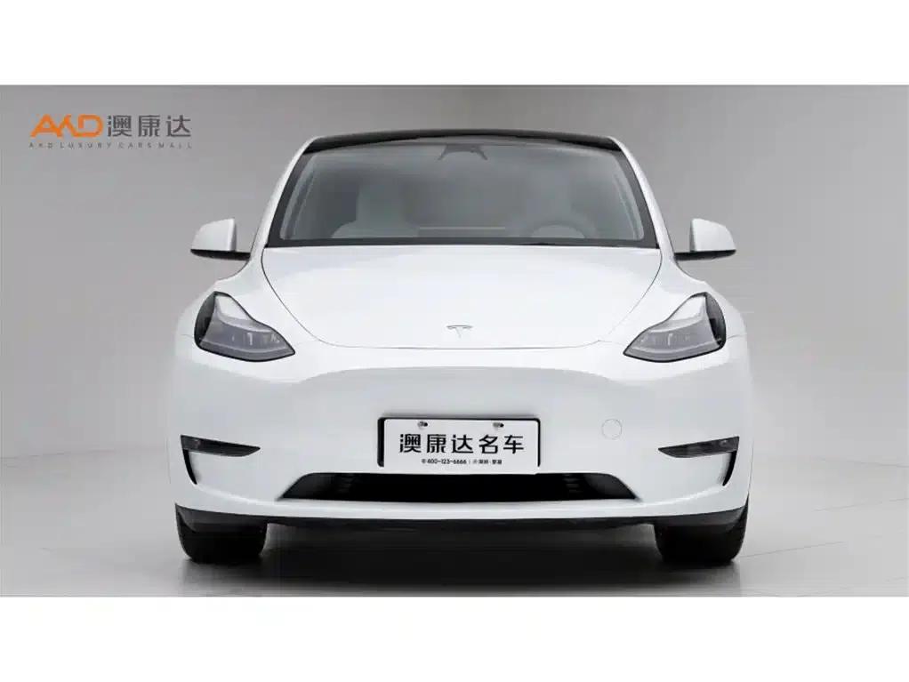 Tesla Model Y/2023/Long Range All-Wheel Drive Version — миниатюра 2