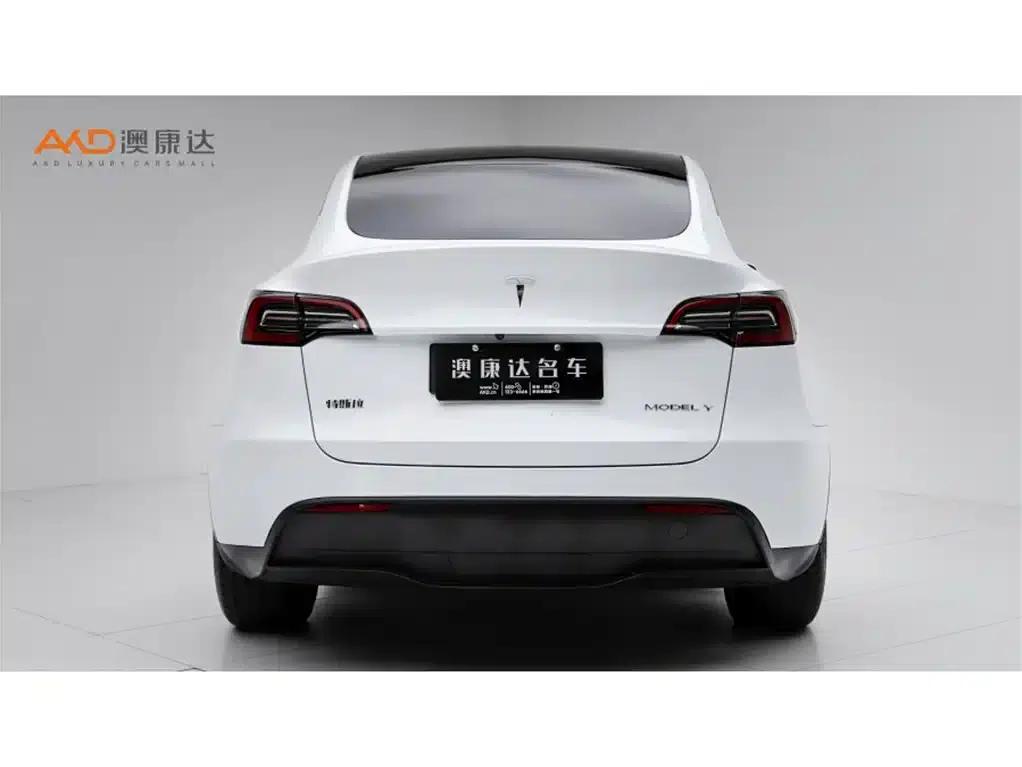 Tesla Model Y/2023/Long Range All-Wheel Drive Version — миниатюра 4