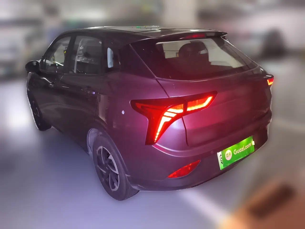 NETA V 2021 Long-Range Entertainment Edition Upgrade Model — миниатюра 4
