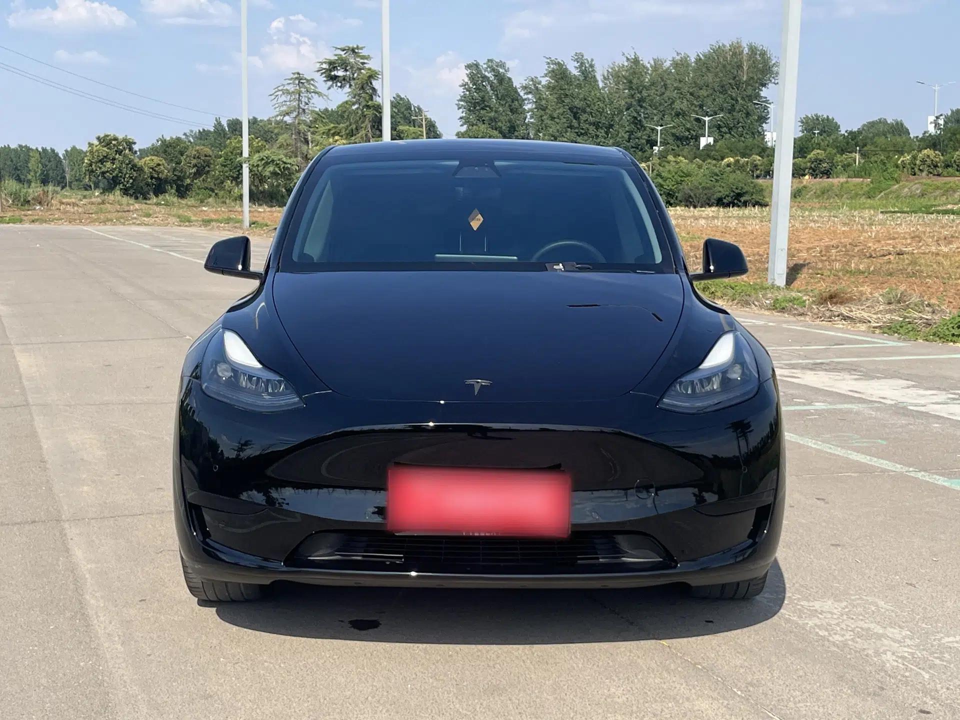 Tesla Model Y 2022 Rear-Wheel-Drive Version — миниатюра 2