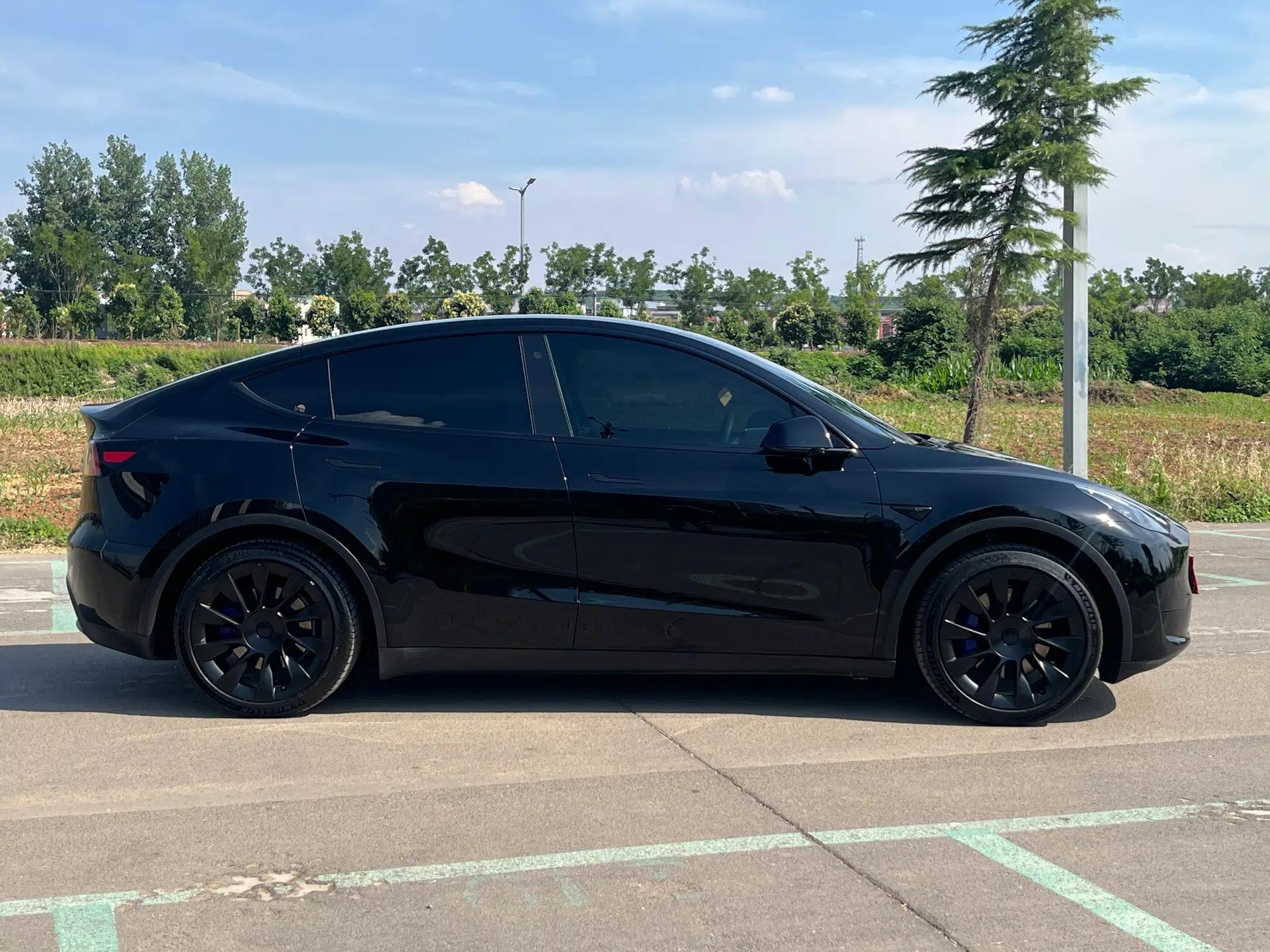 Tesla Model Y 2022 Rear-Wheel-Drive Version — миниатюра 4