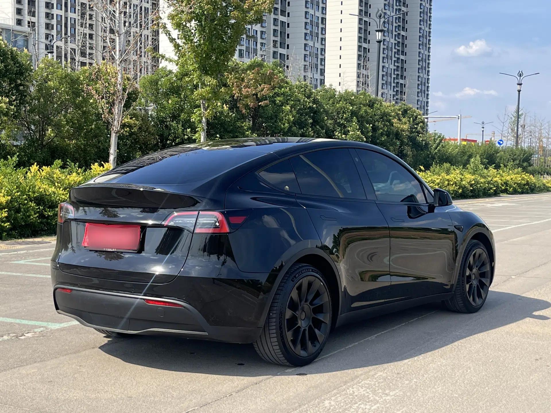 Tesla Model Y 2022 Rear-Wheel-Drive Version — миниатюра 8