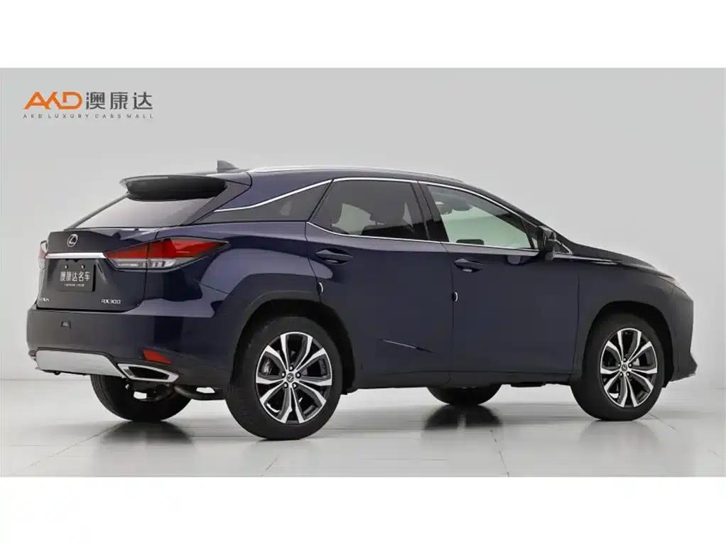 Lexus RX 2020 300 AWD Elegant Edition (China VI Emission Standard) — миниатюра 3