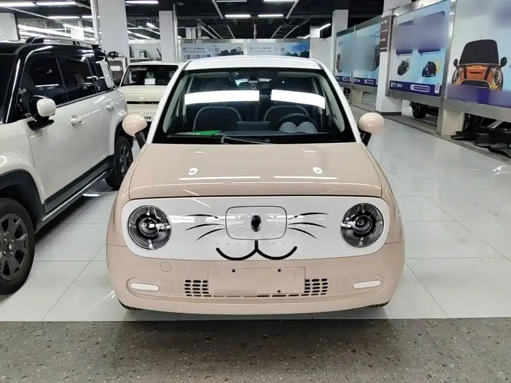 ORA Black Cat 2021 Model 301km Pet Edition — миниатюра 3