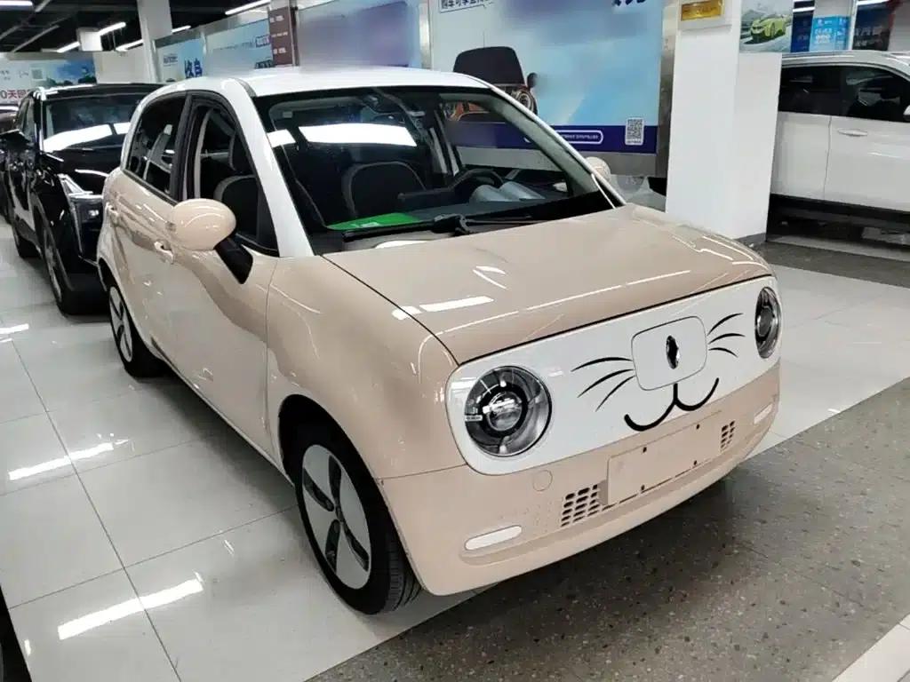 ORA Black Cat 2021 Model 301km Pet Edition — миниатюра 4