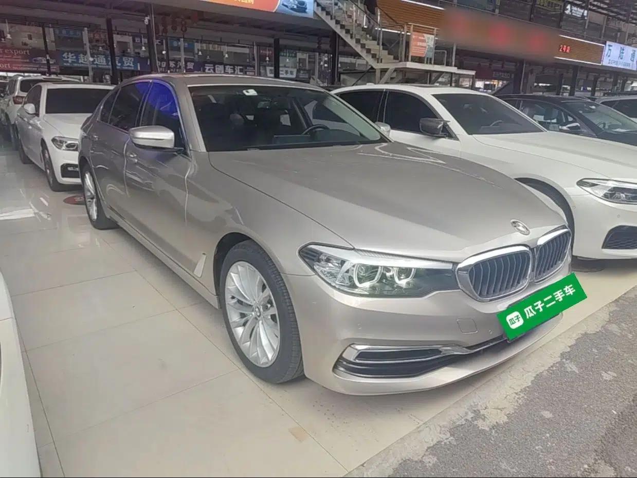 BMW 5 Series 2019 530Li Leading Model Luxury Package — миниатюра 3