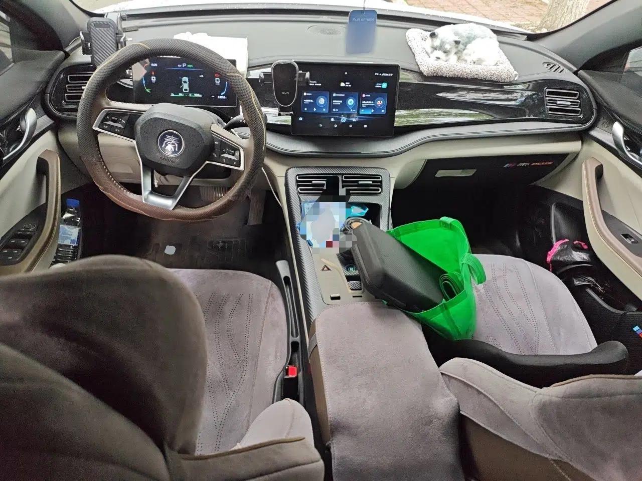 BYD Qin PLUS 2023 Champion Edition DM-i 55KM Leading Model — миниатюра 9