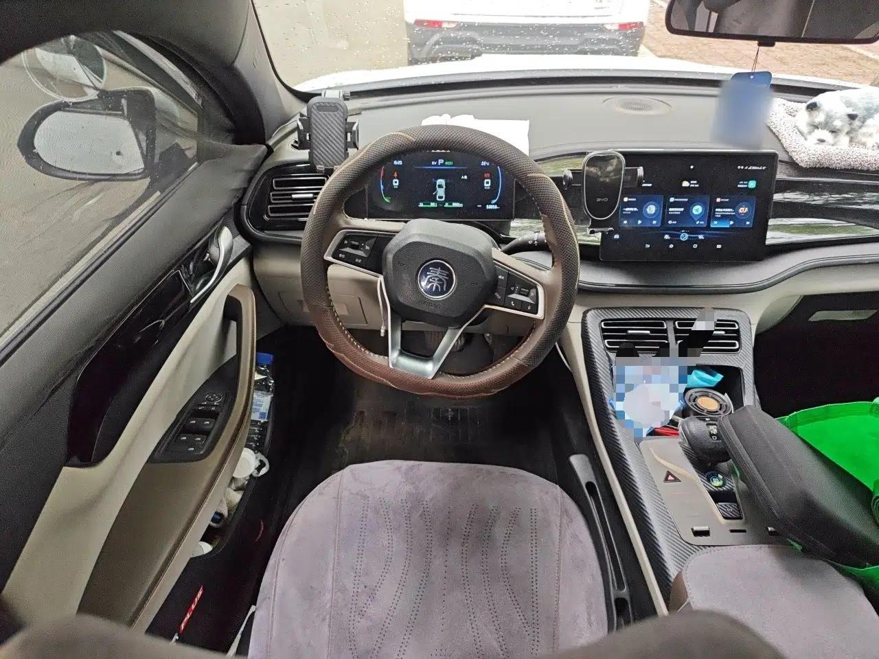 BYD Qin PLUS 2023 Champion Edition DM-i 55KM Leading Model — миниатюра 10
