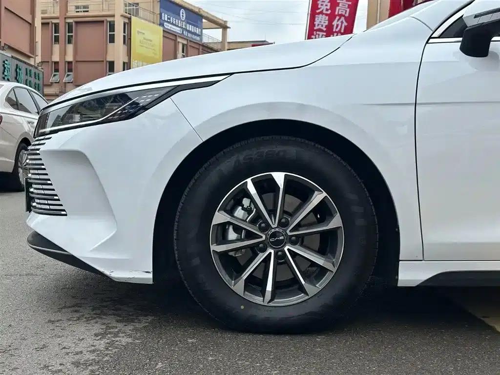 Destroyer 05 2024 Glory Edition DM-i 55KM Luxury Model — миниатюра 4