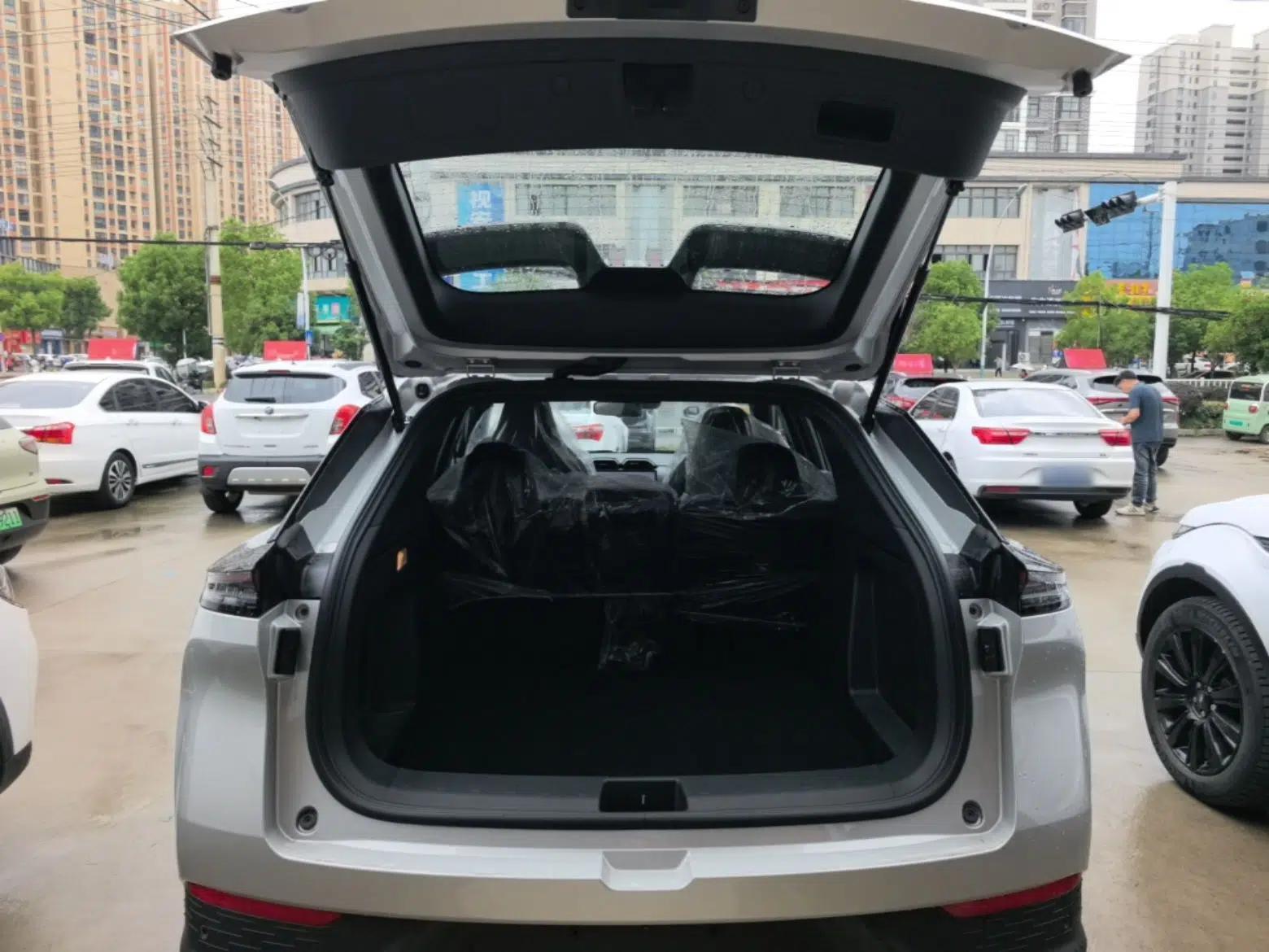 Dongfeng Aeolus L7 New Energy 2025 205 Ultra-Long Range Indulgence Version — миниатюра 22