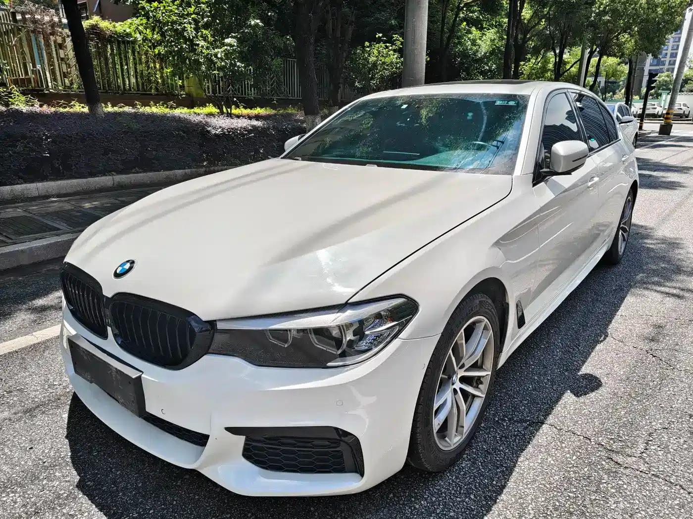 2019 BMW 5 Series Facelift 525Li M Sport Package — миниатюра 1