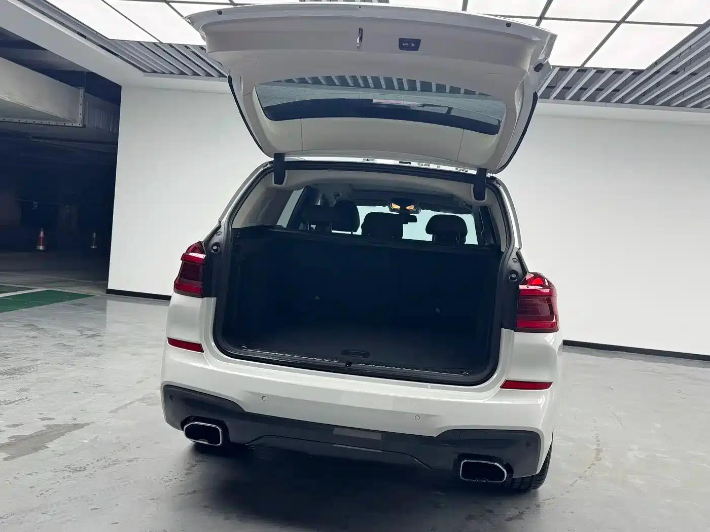 BMW X3 2018 xDrive30i Luxury M Sport Package (China V Emission Standard) — миниатюра 8