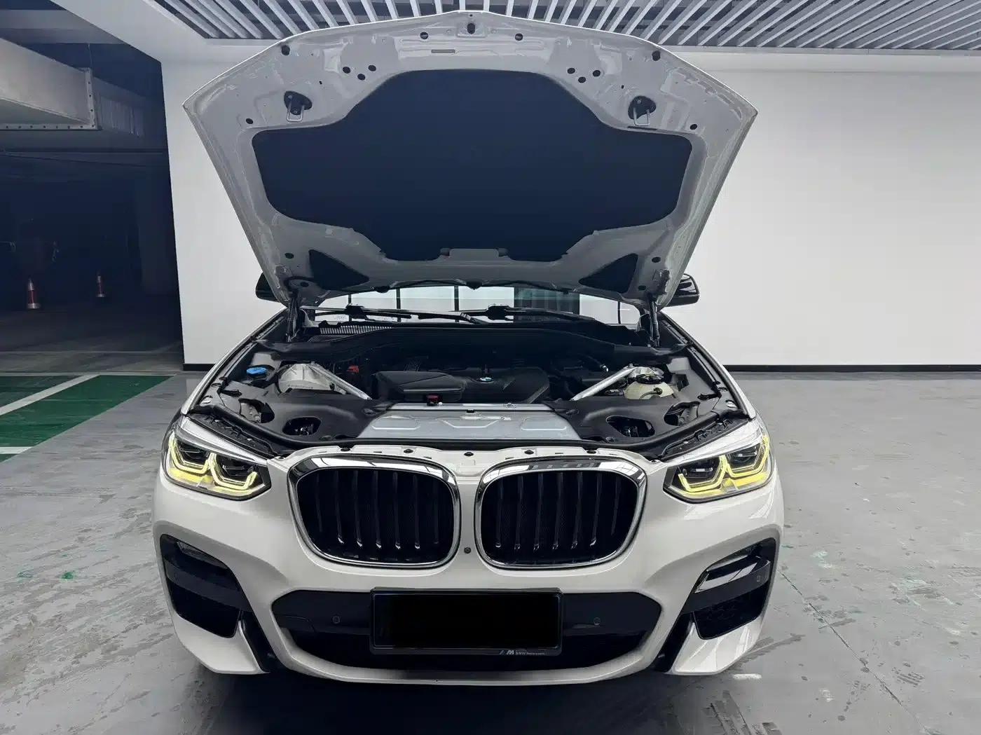 BMW X3 2018 xDrive30i Luxury M Sport Package (China V Emission Standard) — миниатюра 9