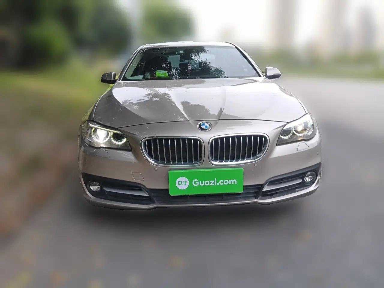 BMW 5 Series 2014 525Li Leading Model — миниатюра 2