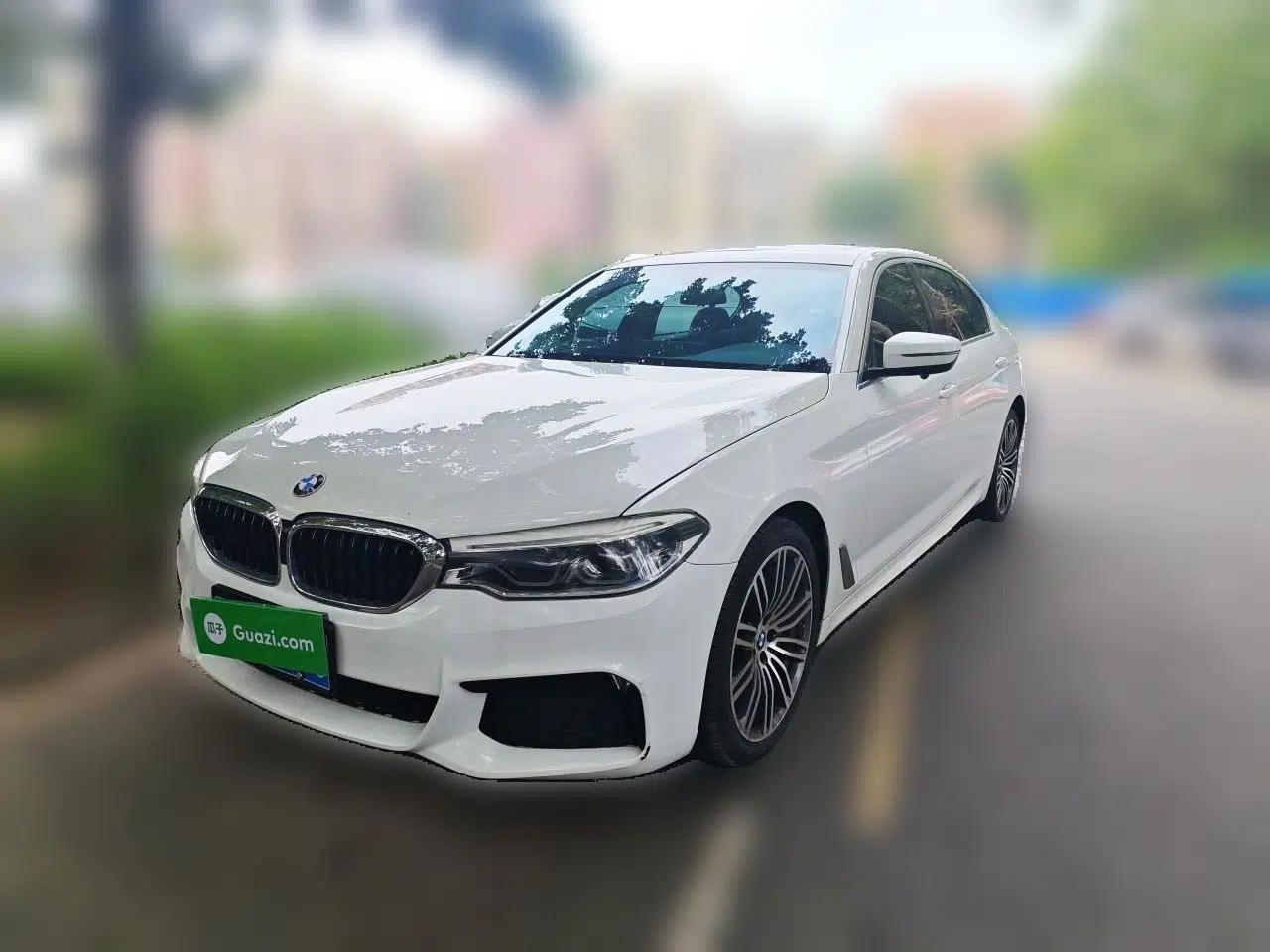 BMW 5 Series 2020 530Li Leading Model M Sport Package — миниатюра 1