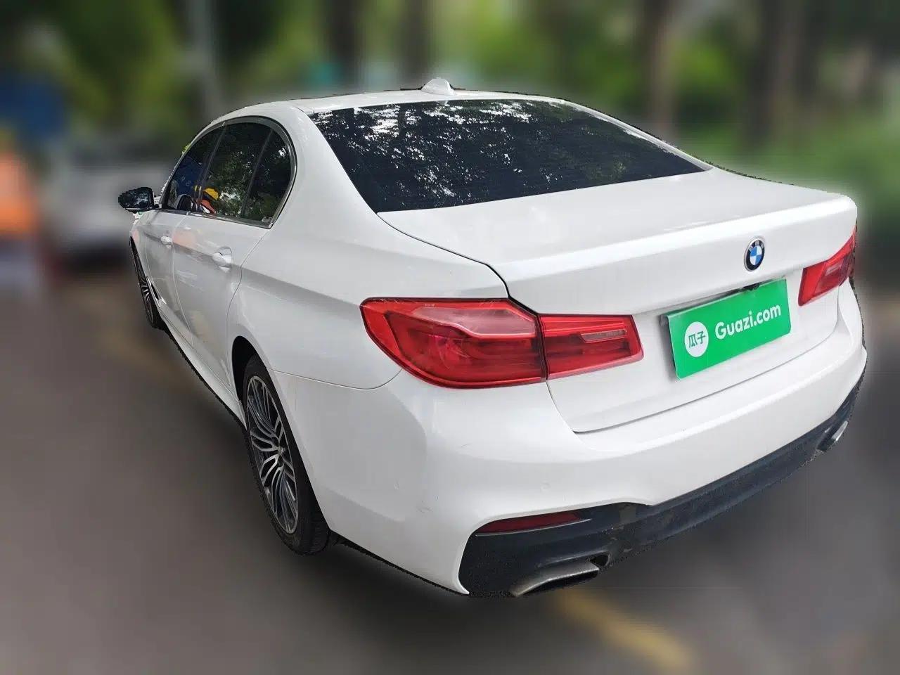 BMW 5 Series 2020 530Li Leading Model M Sport Package — миниатюра 4