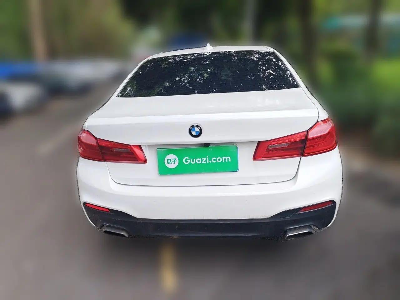 BMW 5 Series 2020 530Li Leading Model M Sport Package — миниатюра 5