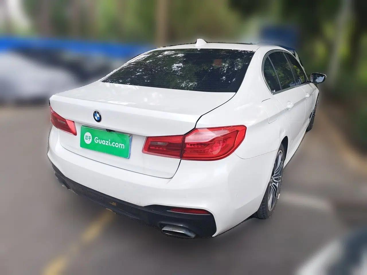BMW 5 Series 2020 530Li Leading Model M Sport Package — миниатюра 6