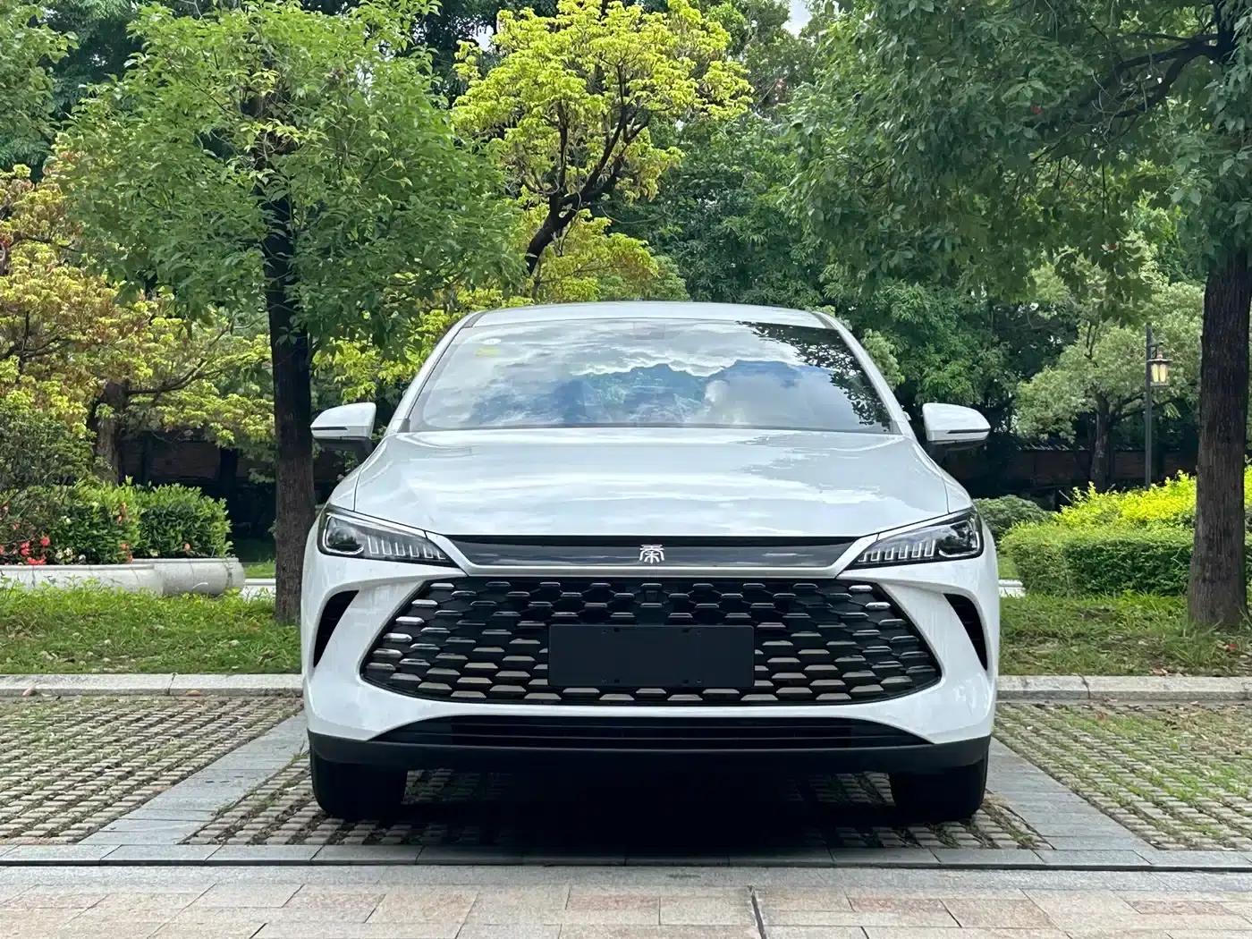 Qin PLUS 2026 DM-i 128KM Progressive Edition — миниатюра 2