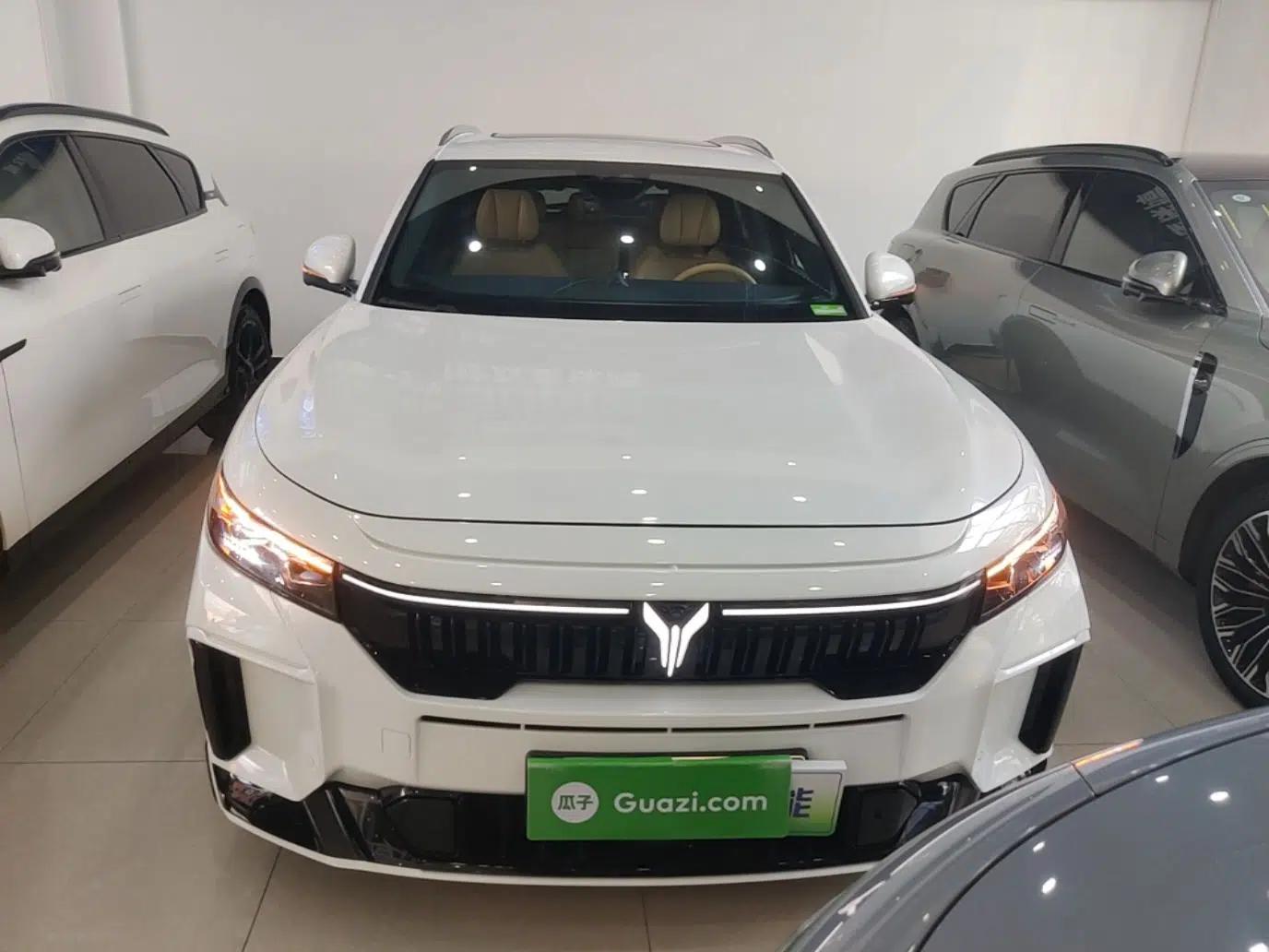 VOYAH FREE 2024 Ultra-Long Range Intelligent Driving Version — миниатюра 2