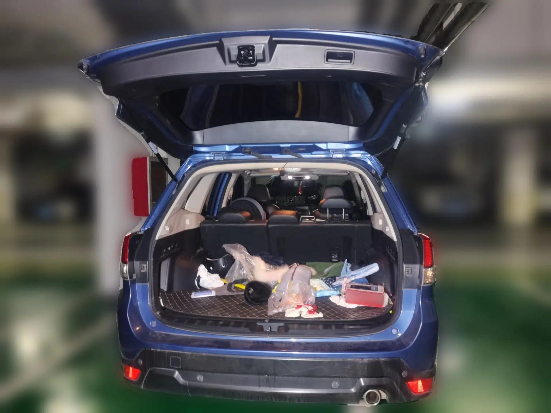 Subaru Forester 2021 2.0i Luxury Edition EyeSight — миниатюра 19