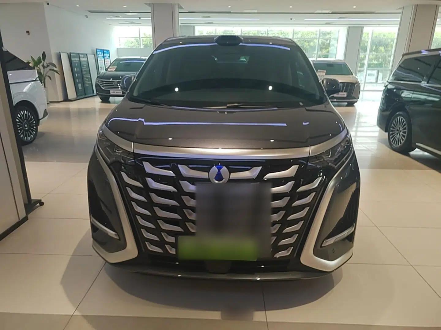 Denza D9 2025 DM-i Intelligent Drive 1020 Four-Wheel Drive Prestige Model — миниатюра 2