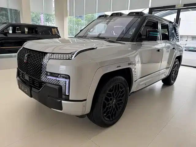 Looking up at the 2026 U8 Luxury Edition