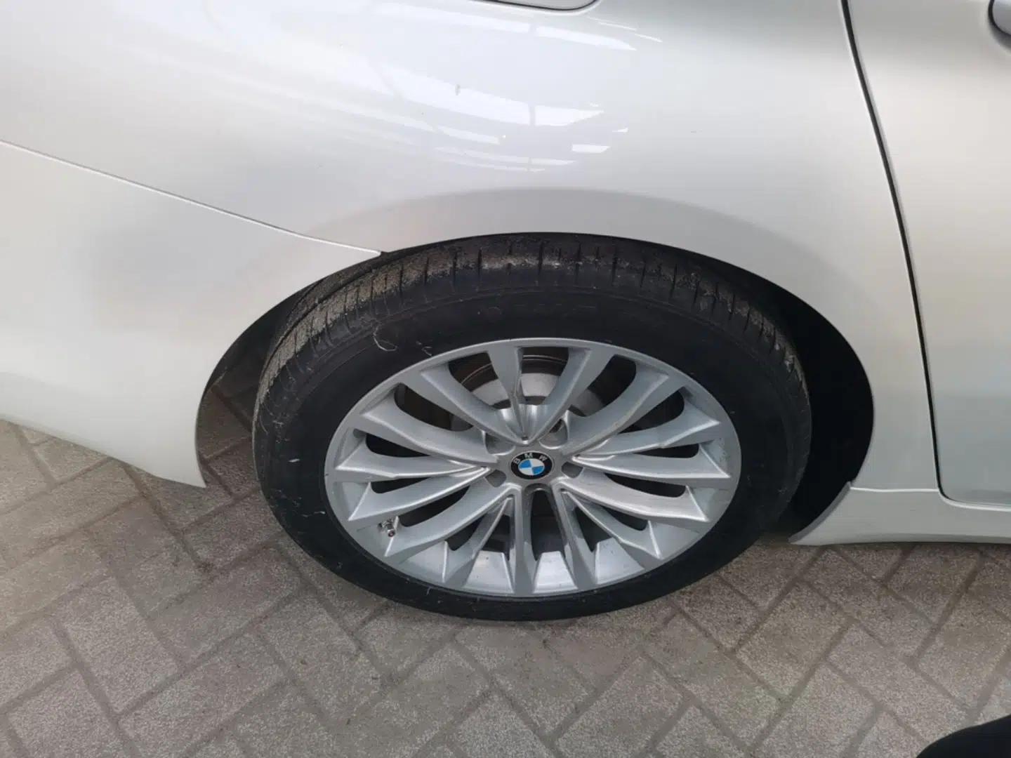 BMW 5 Series 2019 525Li Luxury Package — миниатюра 11