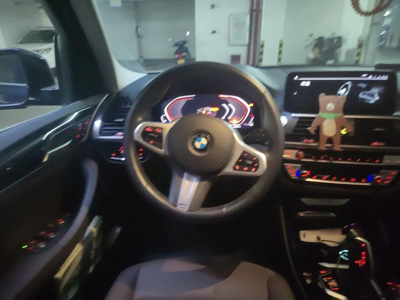 BMW X3 2020 xDrive25i M Sport Package — миниатюра 10