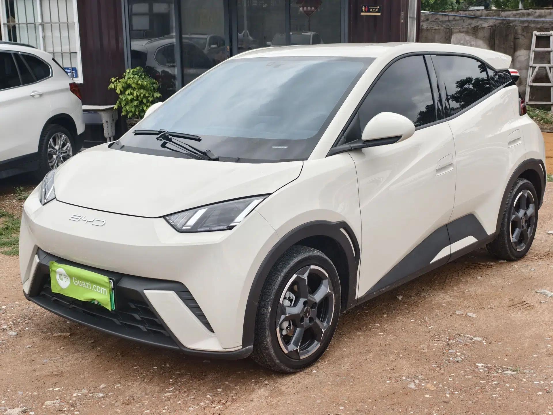 BYD Seagull 2023 Flying Edition — миниатюра 1